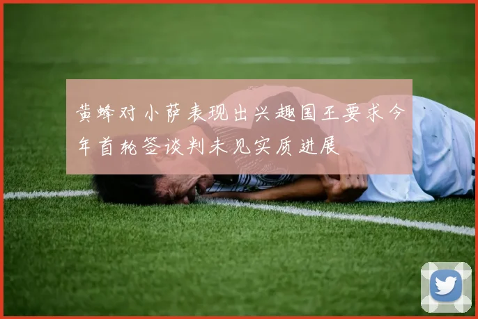 黄蜂对小萨表现出兴趣国王要求今年首轮签谈判未见实质进展